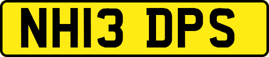 NH13DPS