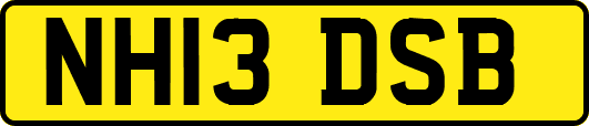 NH13DSB