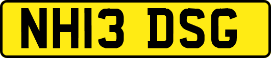 NH13DSG
