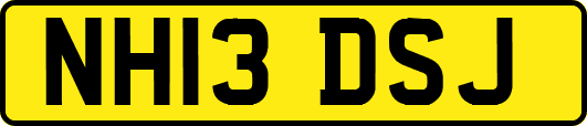 NH13DSJ