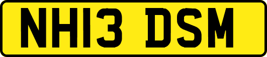NH13DSM