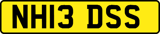 NH13DSS