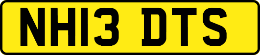 NH13DTS