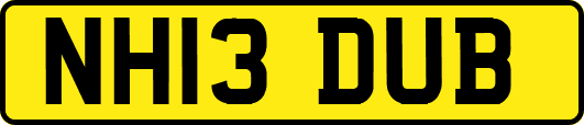 NH13DUB
