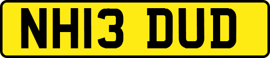 NH13DUD