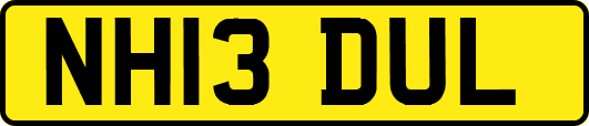 NH13DUL