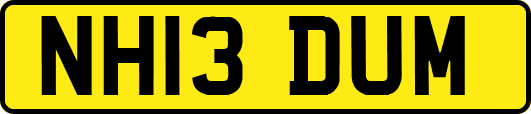 NH13DUM