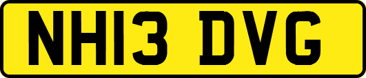 NH13DVG