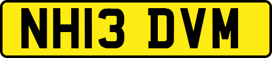 NH13DVM