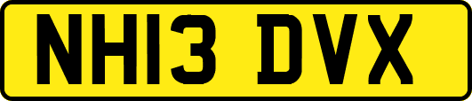 NH13DVX