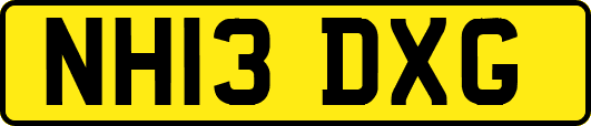 NH13DXG