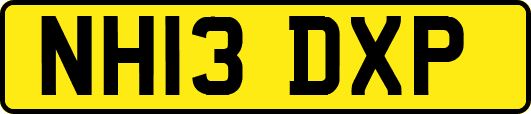 NH13DXP