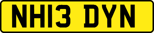 NH13DYN