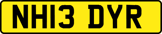 NH13DYR