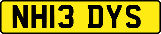 NH13DYS