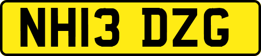 NH13DZG