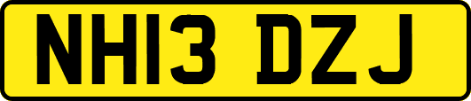 NH13DZJ