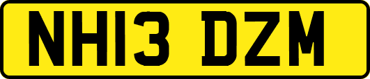 NH13DZM