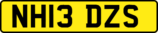 NH13DZS