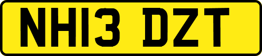 NH13DZT