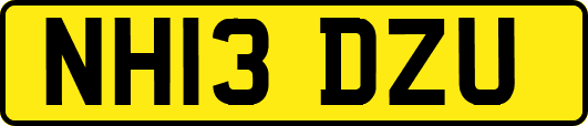 NH13DZU