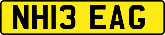 NH13EAG