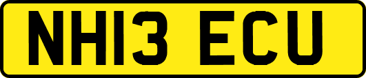 NH13ECU