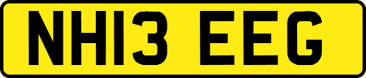NH13EEG