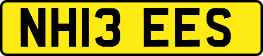 NH13EES