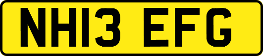 NH13EFG
