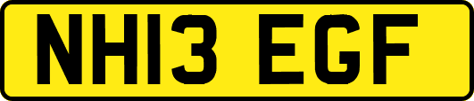 NH13EGF