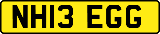 NH13EGG