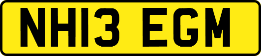 NH13EGM