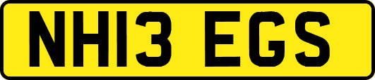 NH13EGS