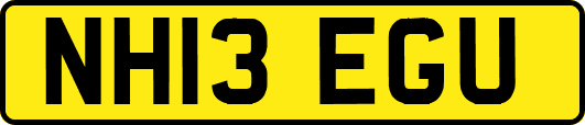 NH13EGU