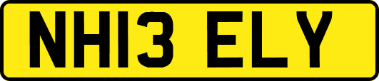 NH13ELY