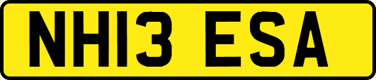 NH13ESA