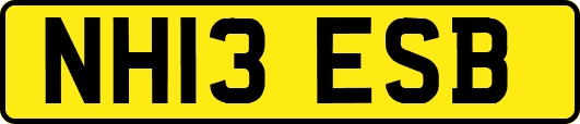 NH13ESB