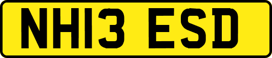 NH13ESD
