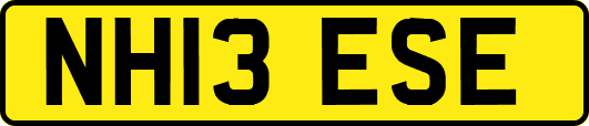 NH13ESE