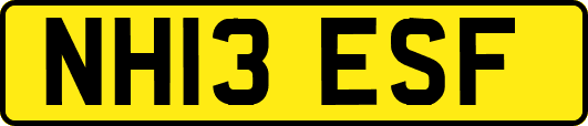 NH13ESF