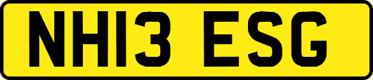 NH13ESG