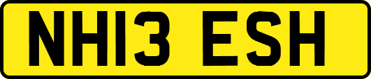 NH13ESH