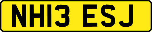 NH13ESJ