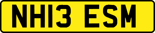 NH13ESM