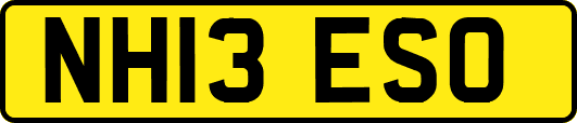 NH13ESO