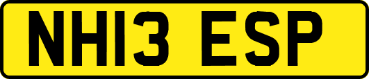 NH13ESP