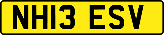 NH13ESV