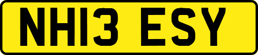 NH13ESY