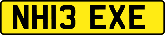 NH13EXE